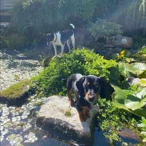 Meet your Posher, Ellie